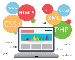 website Development